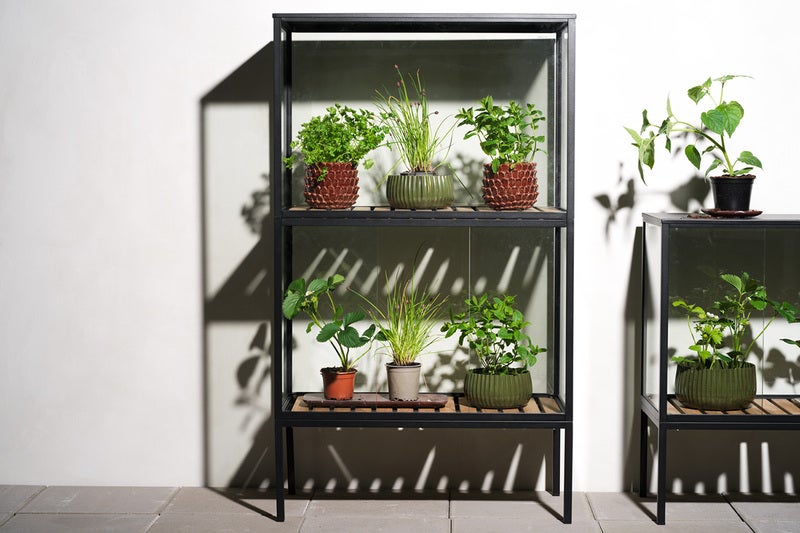 Grower Greens Plant cabinet Black