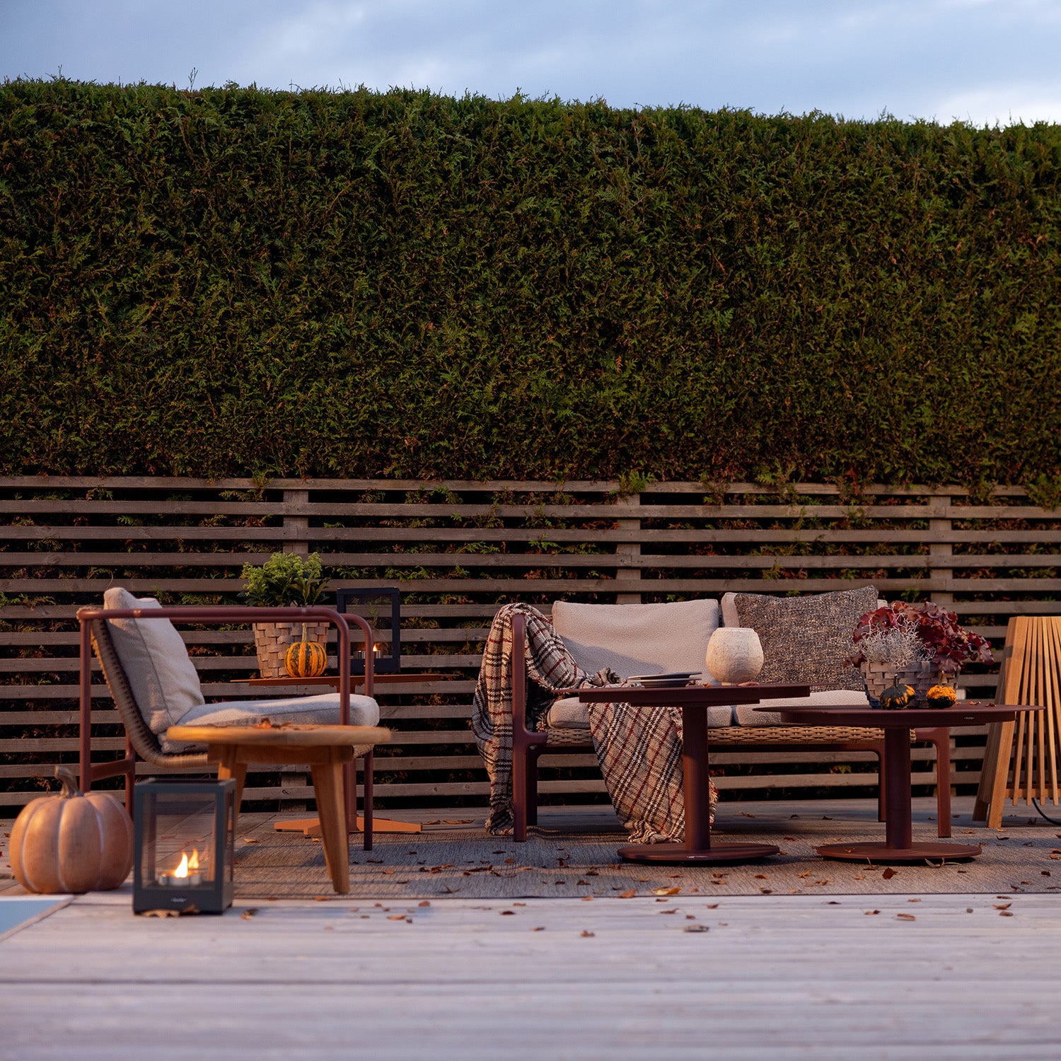 Motty Autumn 1920x800.jpg