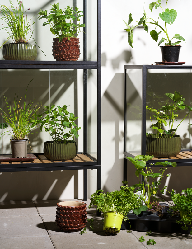 Grower Greens Plant cabinet Black