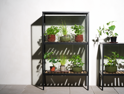 Grower Greens Plant cabinet Black