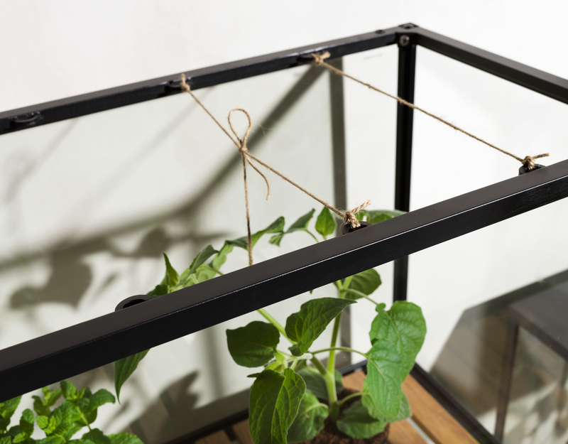 Grower Greens Plant cabinet Black