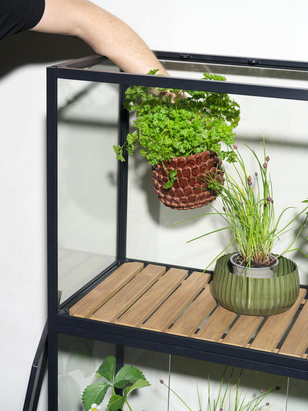 Grower Greens Plant cabinet Black